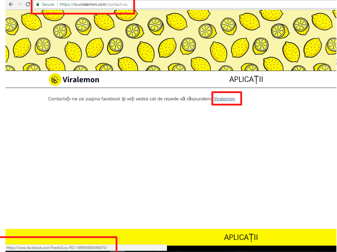 viralemon contact.jpg